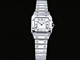 cartier santos de cartier small quartz lady crwssa0082 watch