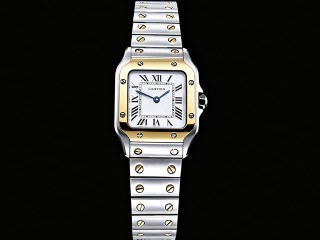 cartier santos de cartier small quartz lady crw2sa0033 watch