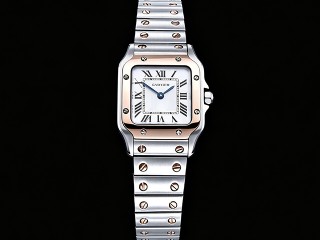cartier santos de cartier small quartz lady crw2sa0033 watch