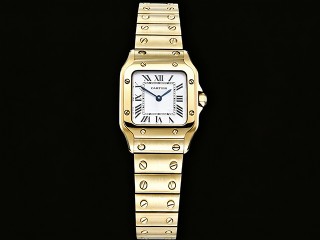 cartier santos de cartier small quartz lady crwgsa0107 watch