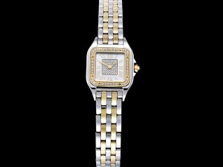 cartier panthere 4023 22mm lady watch