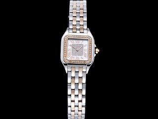 cartier panthere 4023 22mm lady watch