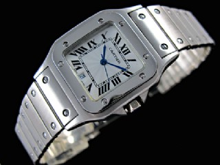 cartier santos  watch