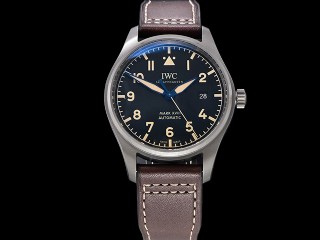 iwc mark xviii iw327006 titanium automatic mens watch