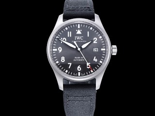 iwc mark xx tribute to patrouille suisse automatic mens watch