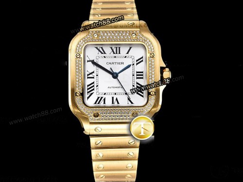 Cartier Santos De Cartier Automatic WSSA0010 Mens Watch,CAR-02059
